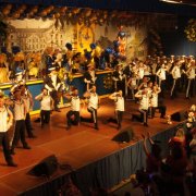 KG Fidele Bröhler Falkenjäger (11.02.12)